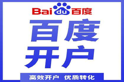 某某SEM团队成功案例：广告投放策略揭秘